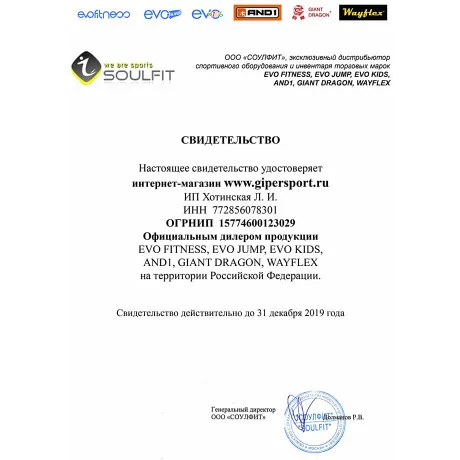 Ременной тренажер Wayflex FTS (Functional Training System) - Сертификат