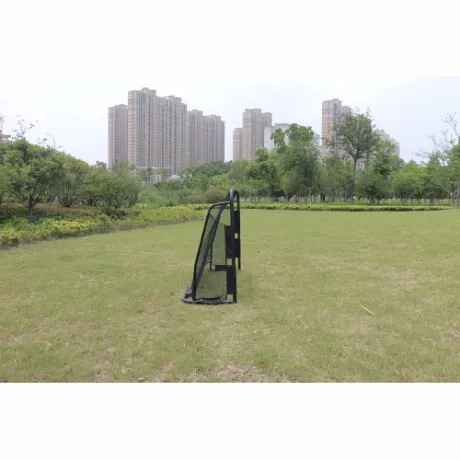 Футбольные ворота с тренировочным экраном Scholle F183 - Фото 3