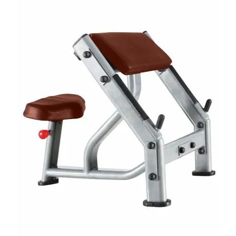 Скамья Скотта BRONZE GYM J-040