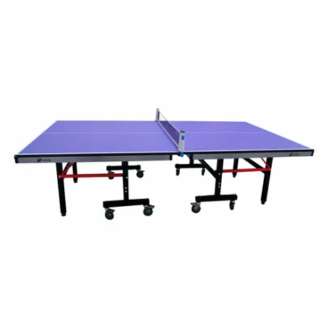 Профессиональный Теннисный стол Scholle T850 (для помещений)
