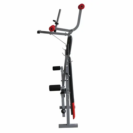 Силовая скамья со стойками DFC D307B - Фото 3