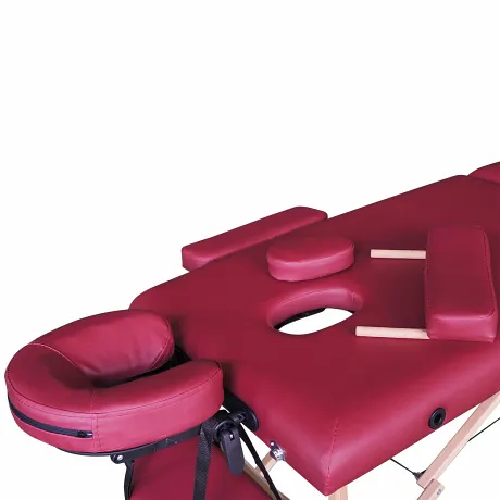 Массажная кушетка DFC NIRVANA Optima (Wine) - Фото 3