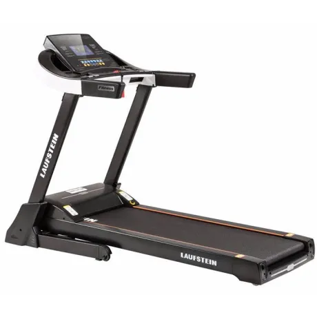 Беговая дорожка Laufstein Prisma