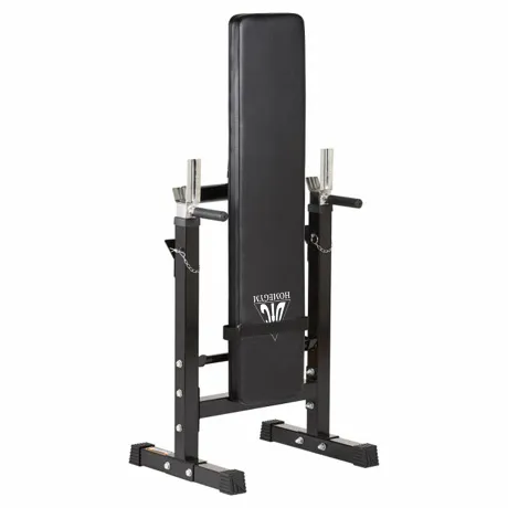 Скамья со стойками под штангу DFC DBCH2B - Фото 3