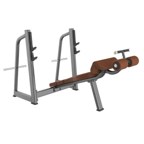 Скамья-стойка для жима под углом вниз DHZ Olympic Decline Bench E-1041В