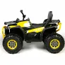 Электроквадроцикл BARTY T007MP желтый - Фото 5