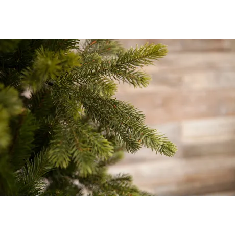 Триумф ель Уэльская 215 см зеленая - Фото 3