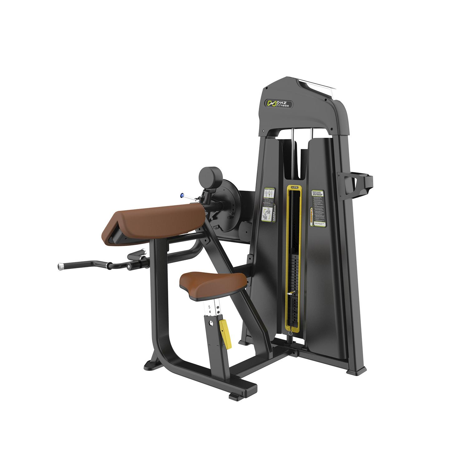 Triceps e biceps 2025