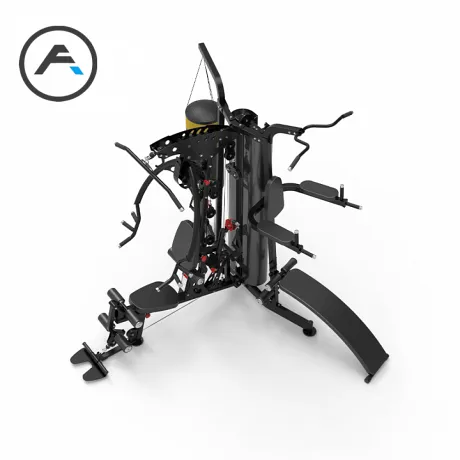 Мультистанция 3-х сторонняя Apex Intense F801 - Фото 3