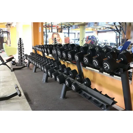 Гантельный ряд PROFI-FIT PROFESSIONAL 27,5 кг - 50 кг (10 пар), шаг 2,5 кг - Фото 3