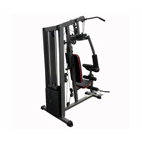 Силовой комплекс DFC D7003 (1 короб + 2 груза) - Фото 2