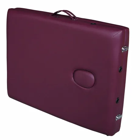 Массажная кушетка DFC NIRVANA Relax (Plum) - Фото 4