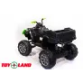 Электроквадроцикл ToyLand 0909 Grizzly Next 4x4 черно-зеленый - Фото 5