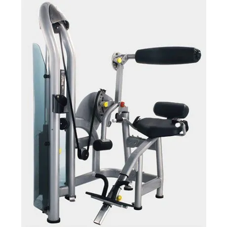 Разгибание спины MATRIX G3 S52