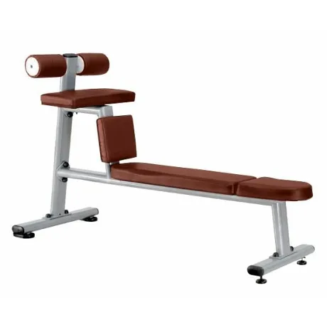 Скамья для скручиваний горизонтальная BRONZE GYM J-035