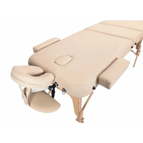 Стол массажный складной Premium Pro 3 beige - Фото 7