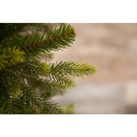 Триумф ель Уэльская 215 см зеленая - Фото 2