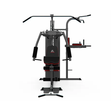 Силовой комплекс DFC D7004 (D7003 + опция брусья) - Фото 2