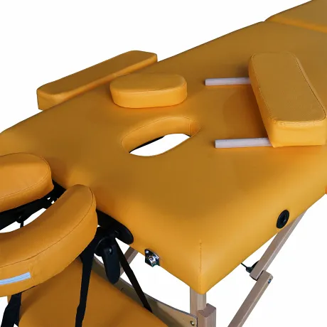 Массажная кушетка DFC NIRVANA Optima (Mustard) - Фото 4