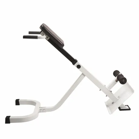 Гиперэкстензия Royal Fitness - Фото 2