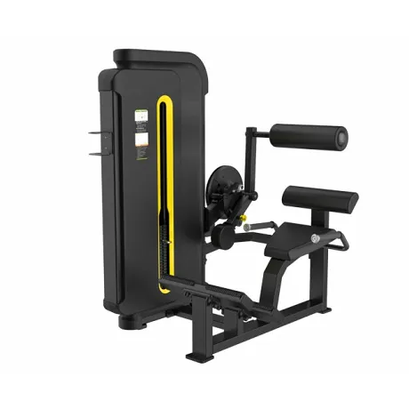 Разгибание спины SVENSSON INDUSTRIAL H3031 MATTE BLACK