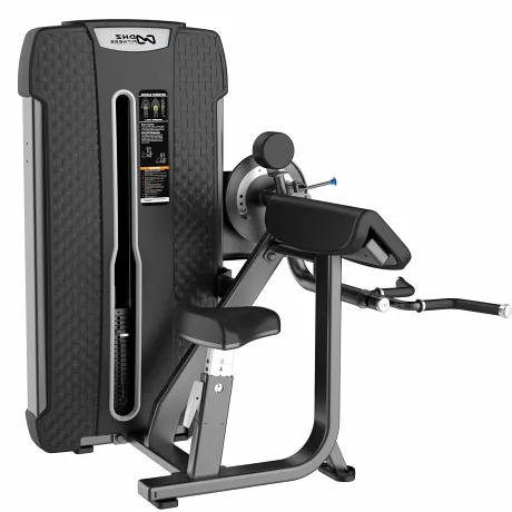 Бицепс/Трицепс сидя DHZ Camber Curl &Triceps. Стек 65 кг E-4087