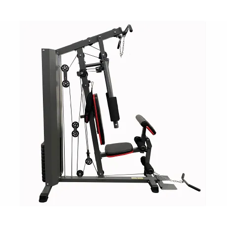 Силовой комплекс DFC D7003 (1 короб + 2 груза) - Фото 4