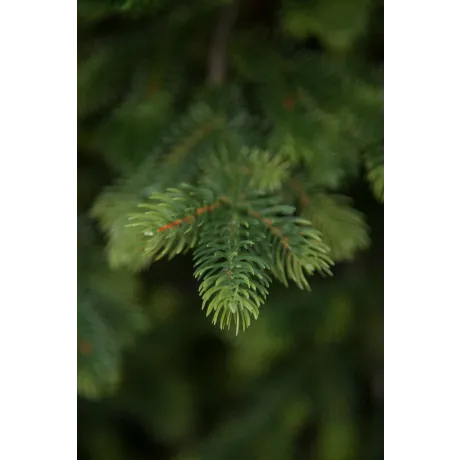 Ель Городская 100% литая 215 см зеленая - Фото 5