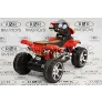 Квадроцикл RiverToys Е005КХ - Фото 6