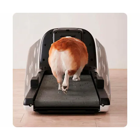 Беговая дорожка Yesoul T-Q1 - Фото 27