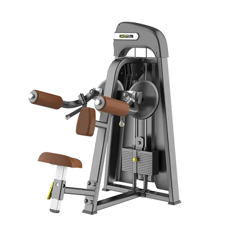 Дельт-машина DHZ Lateral Raise Стек 56 кг E-3005
