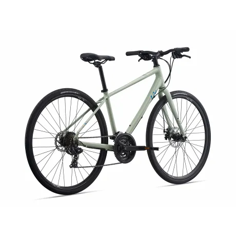 Велосипед Liv Alight 3 DD Disc (2021) пустынный (рама: M) - Фото 2