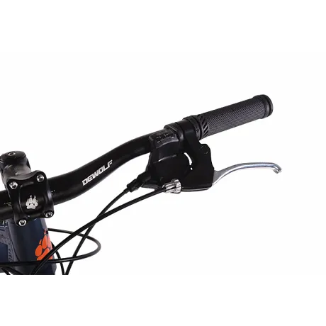 Велосипед Dewolf Ridly 30 (рама 18, 2021) - Фото 7