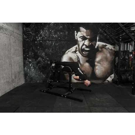 Тренажер Stecter GHD (гиперэкстензия, римский стул) - Фото 6