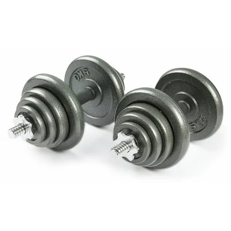 Набор металлических гантелей 2x20 кг Atlas Sport