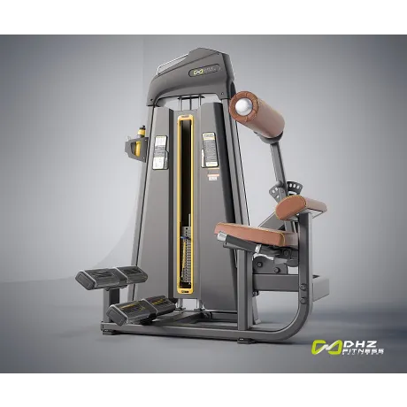 Разгибание спины DHZ Back Extension Стек 109 кг E-1031В - Фото 3