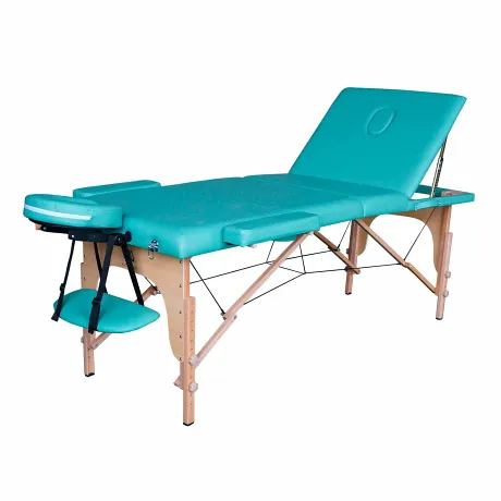 Массажная кушетка складная DFC NIRVANA Relax Pro (Green)