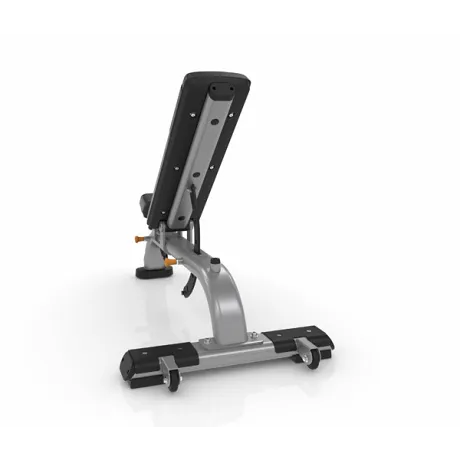 Универсальная скамья PRECOR Discovery Line DBR 119 черный - Фото 5