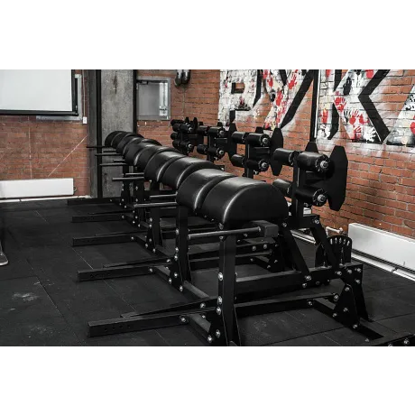 Тренажер Stecter GHD (гиперэкстензия, римский стул) - Фото 3