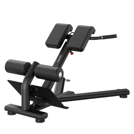 Гиперэкстензия (разгибание спины) Smith RE6010 - Фото 2