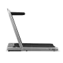 Беговая дорожка APPLEGATE T5 Panel - Фото 2