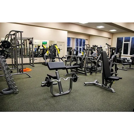 Скамья Скотта регулируемая Hasttings Digger HD017-4 - Фото 2