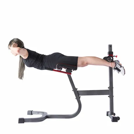 Гиперэкстензия DFC SUB3013RC - Фото 4