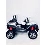 Электромобиль RiverToys BUGGY T009TT 4*4 - Фото 3