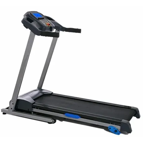Беговая дорожка Royal Fitness RF-1