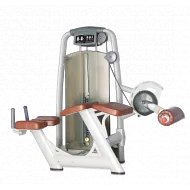 Сгибание ног лежа BRONZE GYM A9-013A