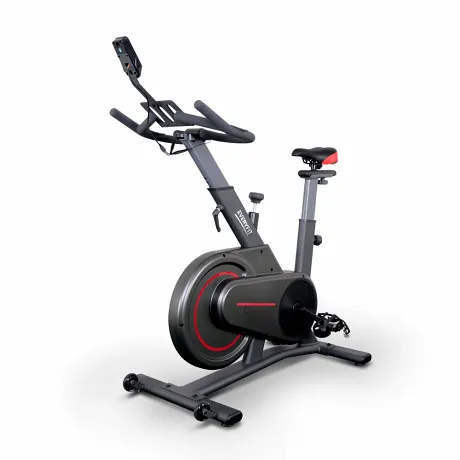 Велотренажер Everyfit 911M, спин-байк - Фото 2