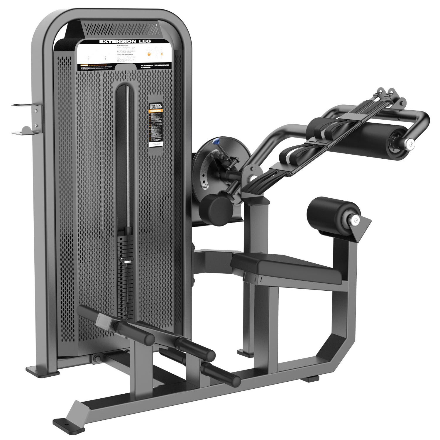 Back extension machine price 2025
