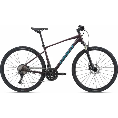 Велосипед Giant Roam 0 Disc (рама L)