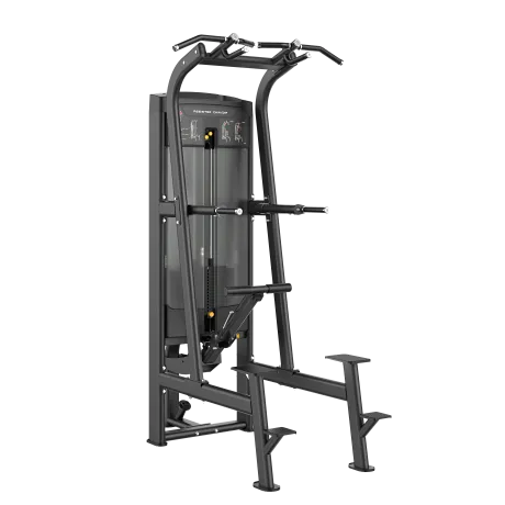 Тренажер Smith RE8008 Подтягивание/Отжимание с помощью